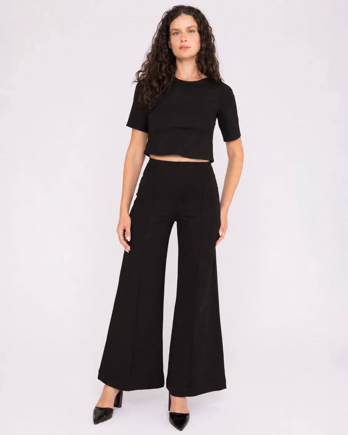 Ponte Knit Standard Wide Leg Pant - Black