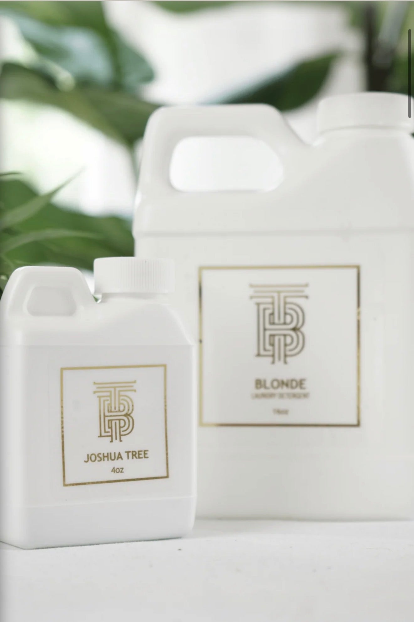 Laundry Detergent- Joshua Tree/ 32oz