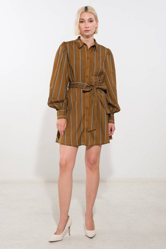 Brown Stiped Mini Dress