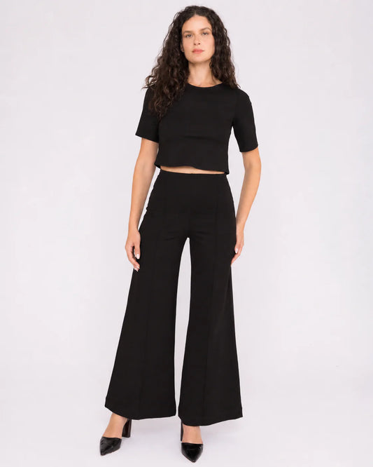 Ponte Knit Standard Wide Leg Pant - Black