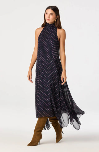 Tiana Polka Dot Maxi Dress