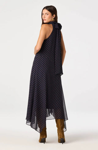 Tiana Polka Dot Maxi Dress