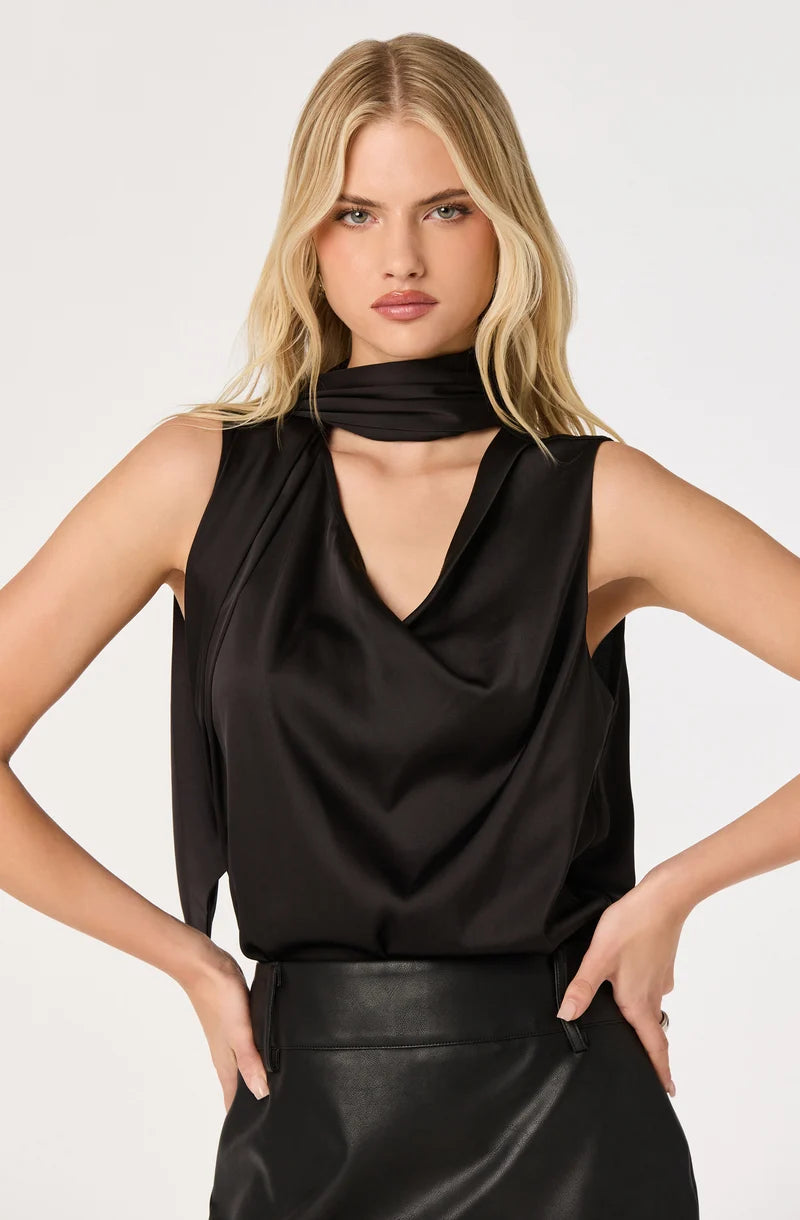 Sasha Cowl Neck Scarf Top